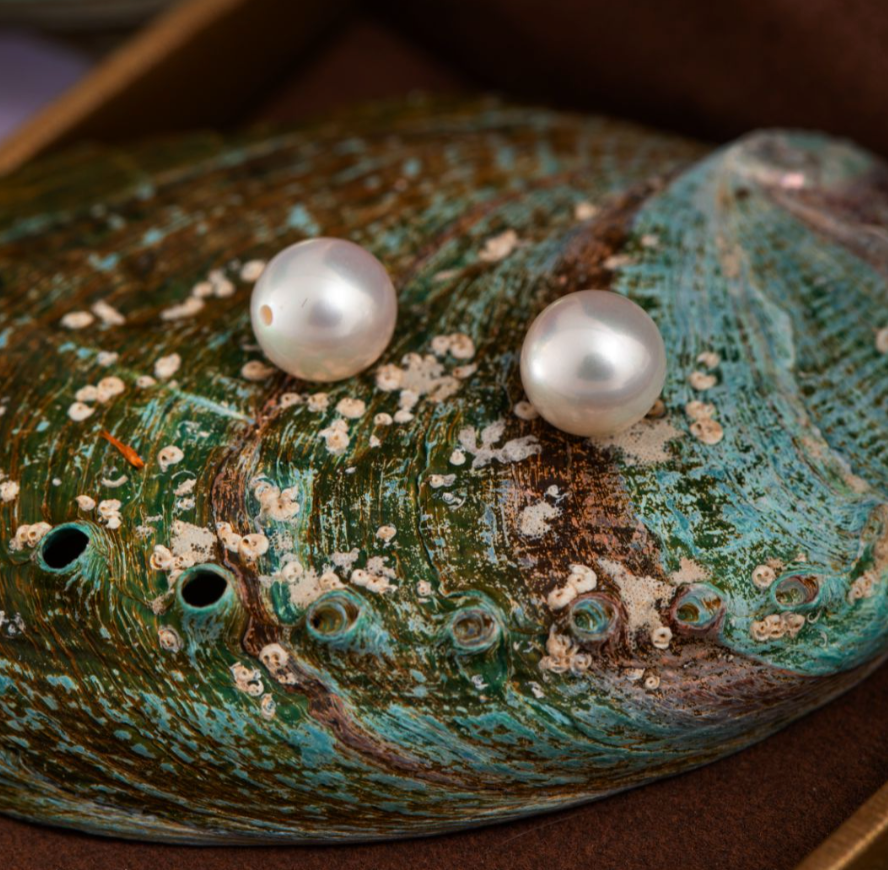 7-7.5mm | Lunar Halo | Stud Earrings