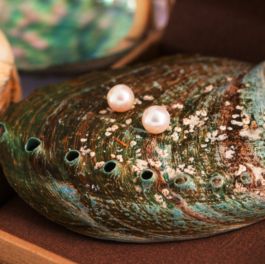 5.5-6mm | Morning Dew | Stud Earrings